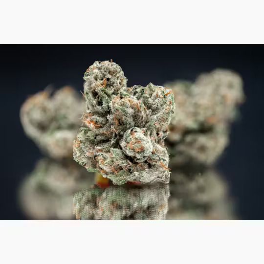 Photograph of product: Mega Wellness OG - 