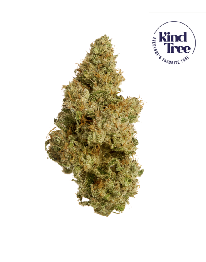 Photograph of product: Kind Tree | Cherry Slushee - 3.5g