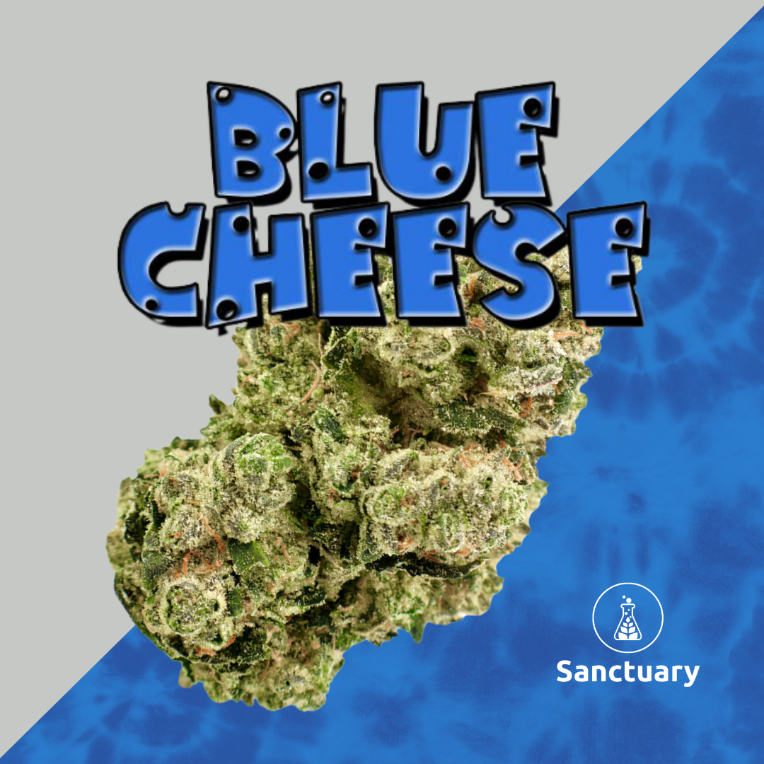 Photograph of product: Blue Cheese 3.5g Small Bud