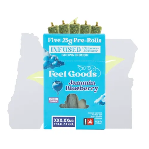 Photograph of product: Feel Goods-.75G Infused 5Pk-Watermelon