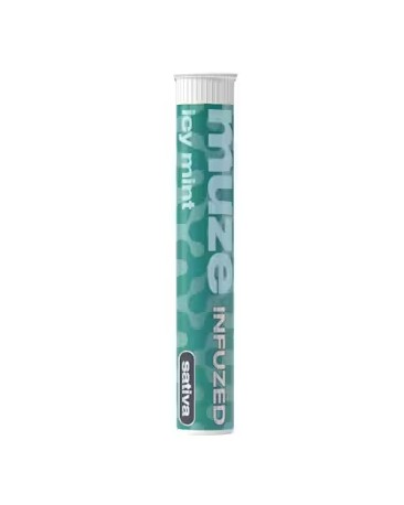 Photograph of product: Icy Mint Terpene Infused Pre-roll 1/2g 2pk