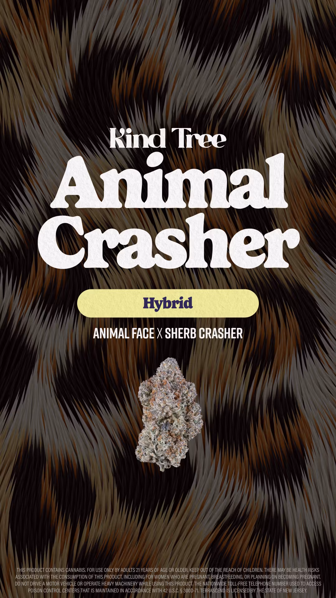Photograph of product: Kind Tree | Animal Face x Sherb Crasher | Pre rolls | 2pk/1g