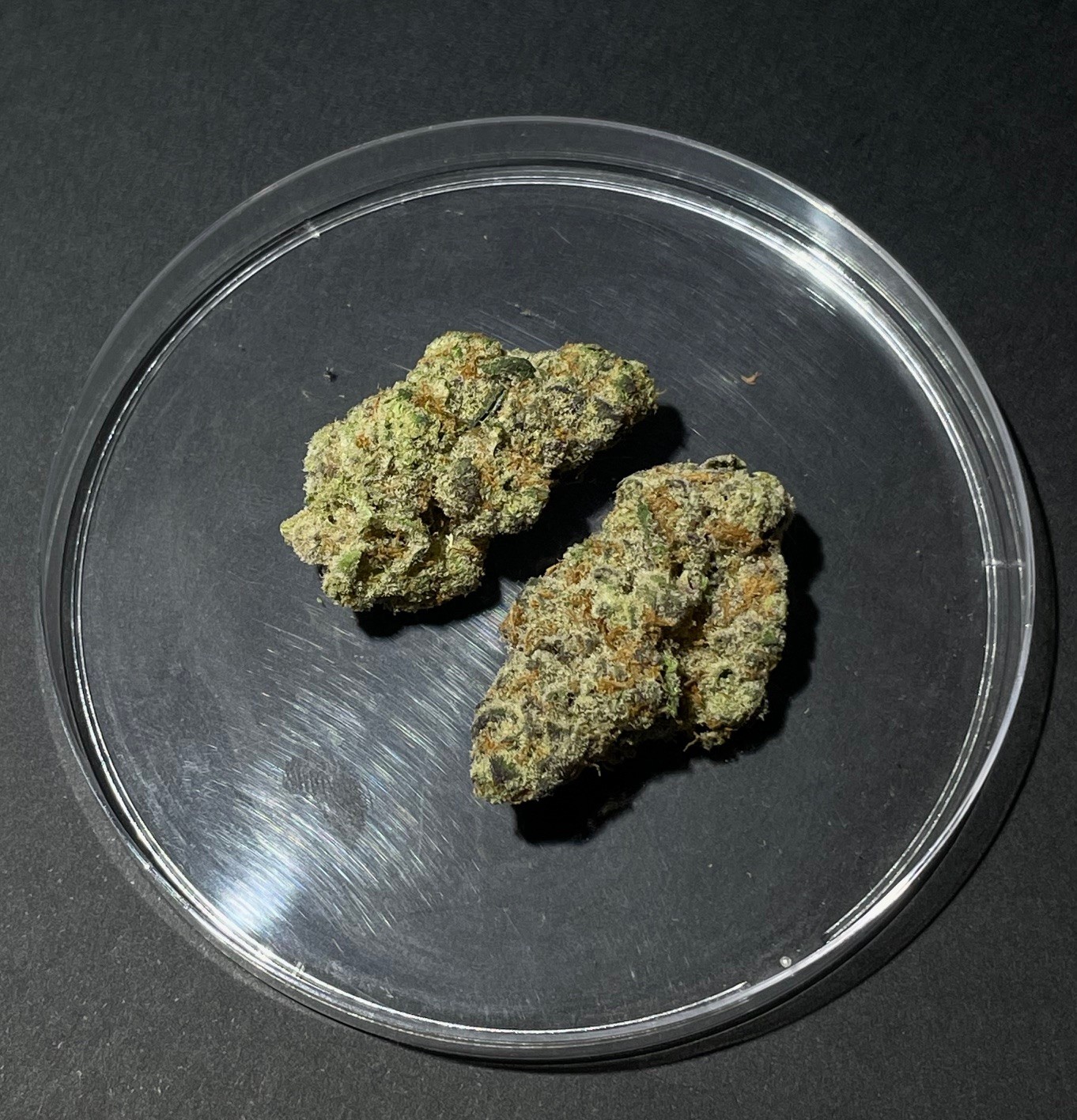 Photograph of product: Glitter Bomb - 14g