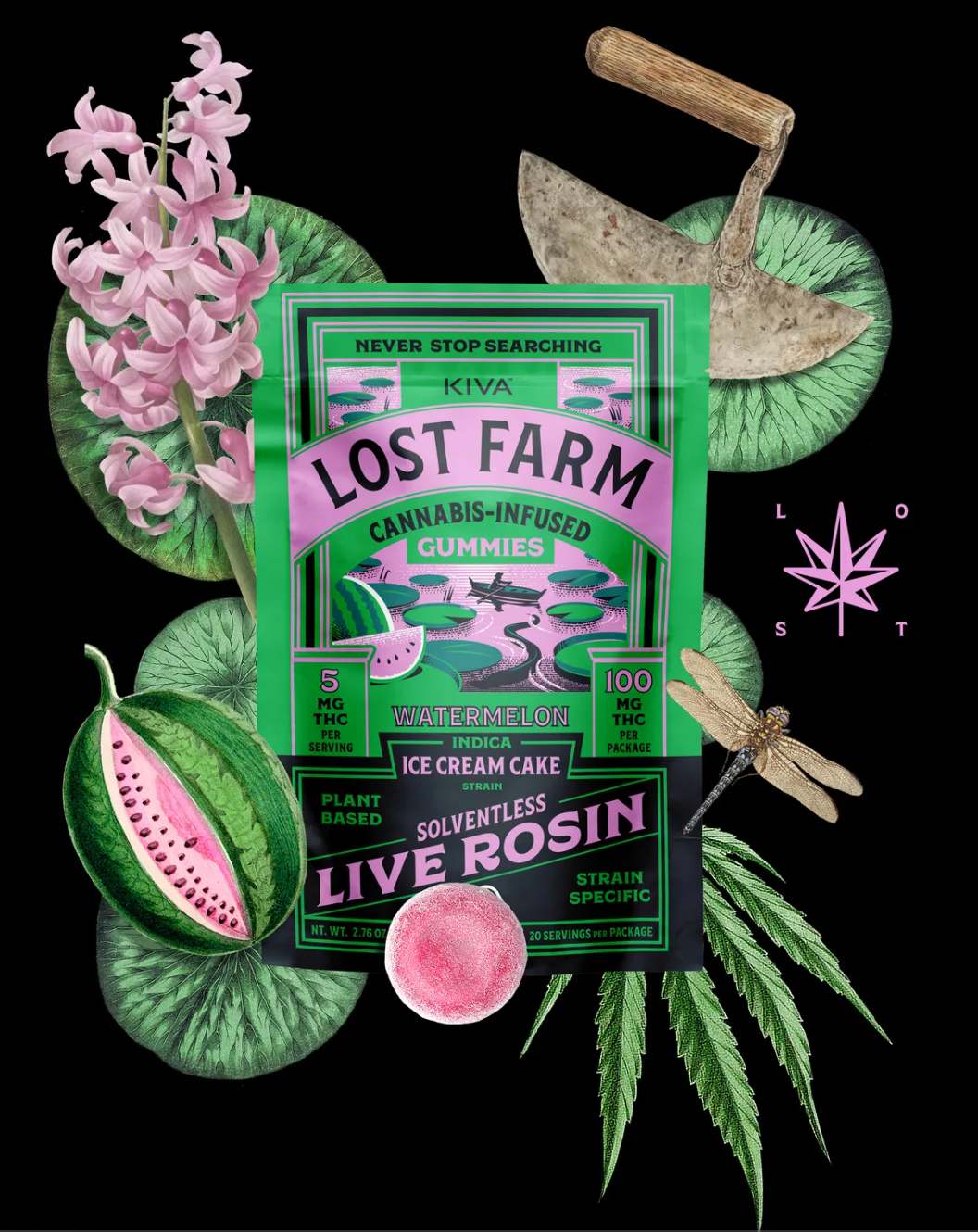 Photograph of product: Lost Farm | Ice Cream Cake X Watermelon Live Rosin | Gummies 20 Pack