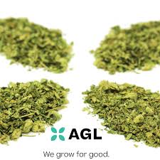 Photograph of product: Bananaconda Grind Flower | T12.38% | 00641 | 7g