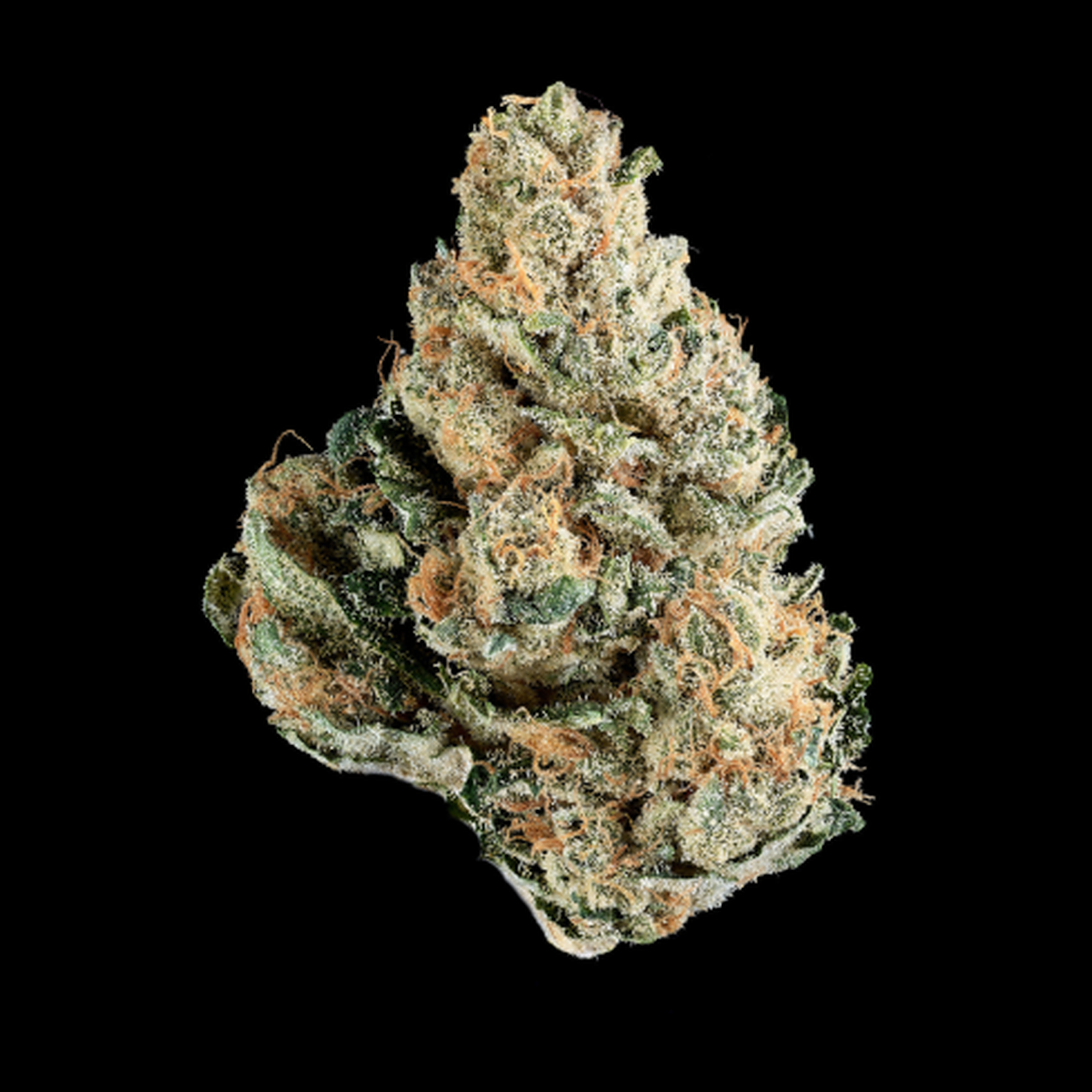 Photograph of Product: Strawberry Pie- Full Bud Oz 28g