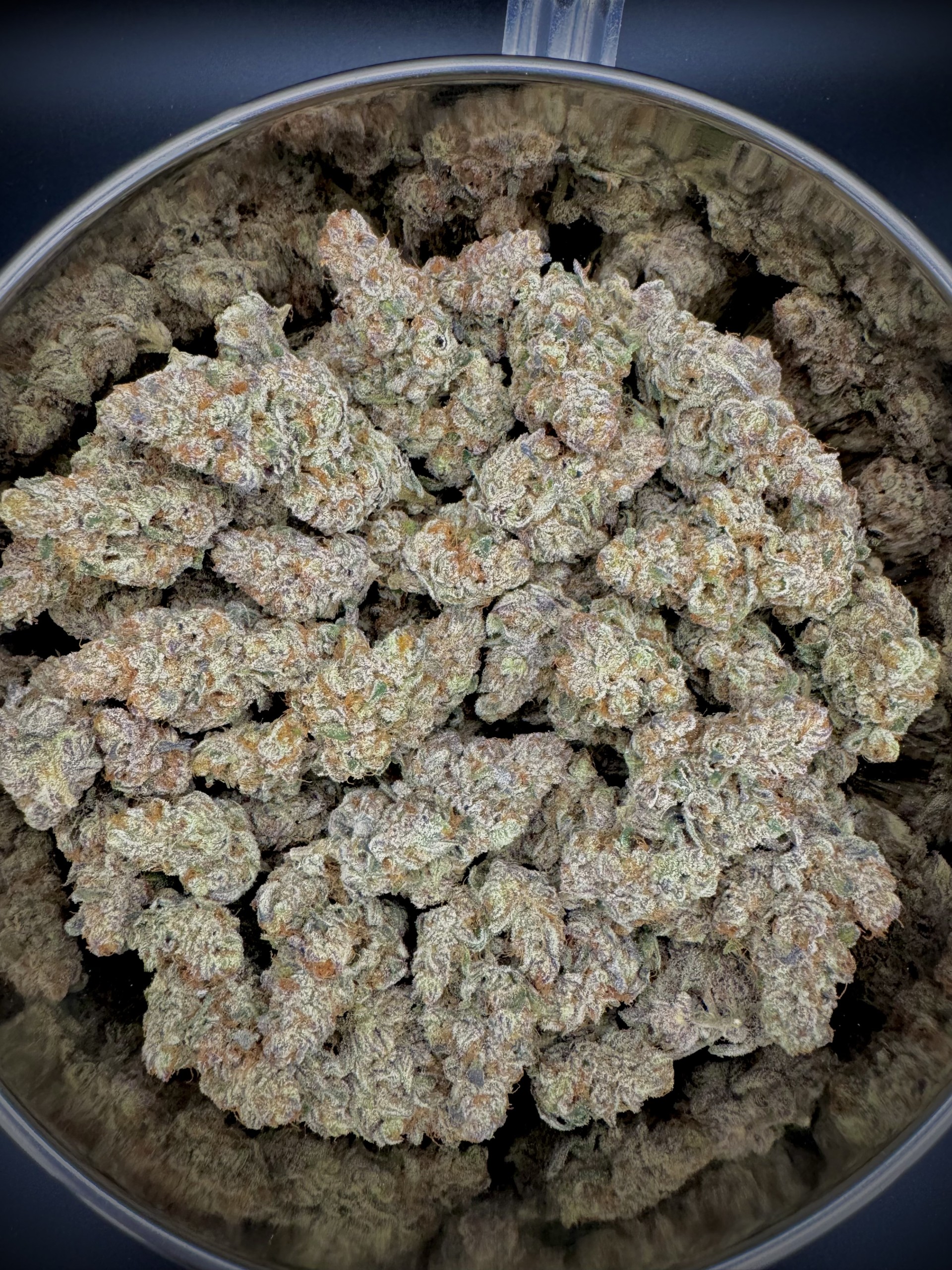 Photograph of product: White Buffalo | Oui'd | Flower - 14g