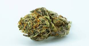 Photograph of product: Ripe Herb Zoap Jars - 14g