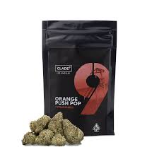 Photograph of product: Clade9 Orange Push Pop Packaged 7gs