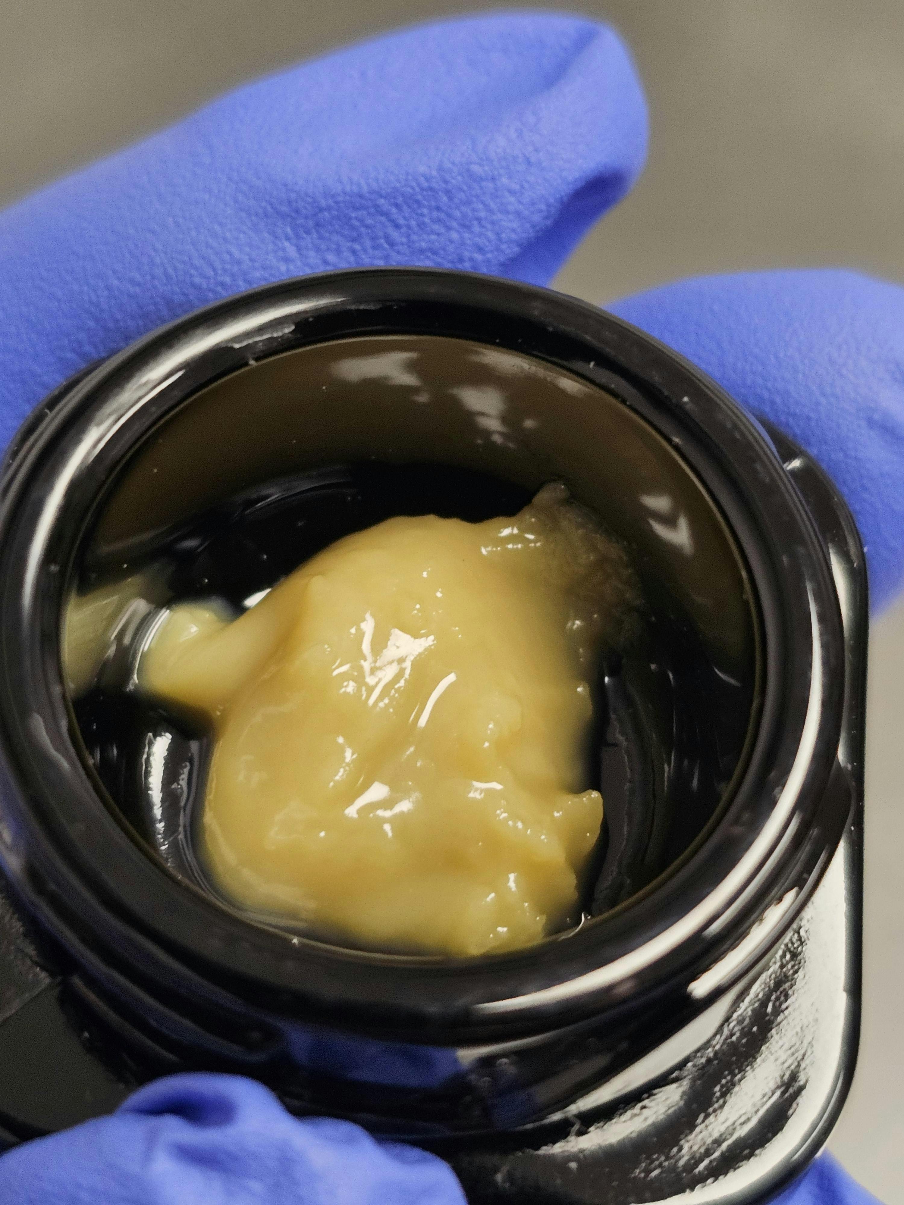 Photograph of product: Terp Labs Apple Pie Live Rosin Badder 1g