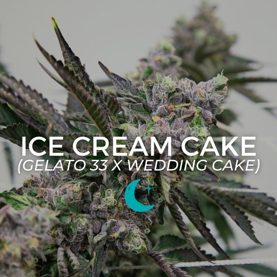 Photograph of product: Ice Cream Cake - 14g