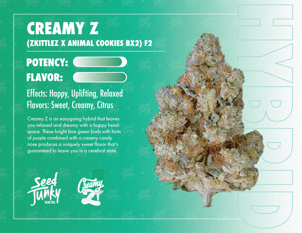 Photograph of product: Flower - Creamy Z - 3.5g