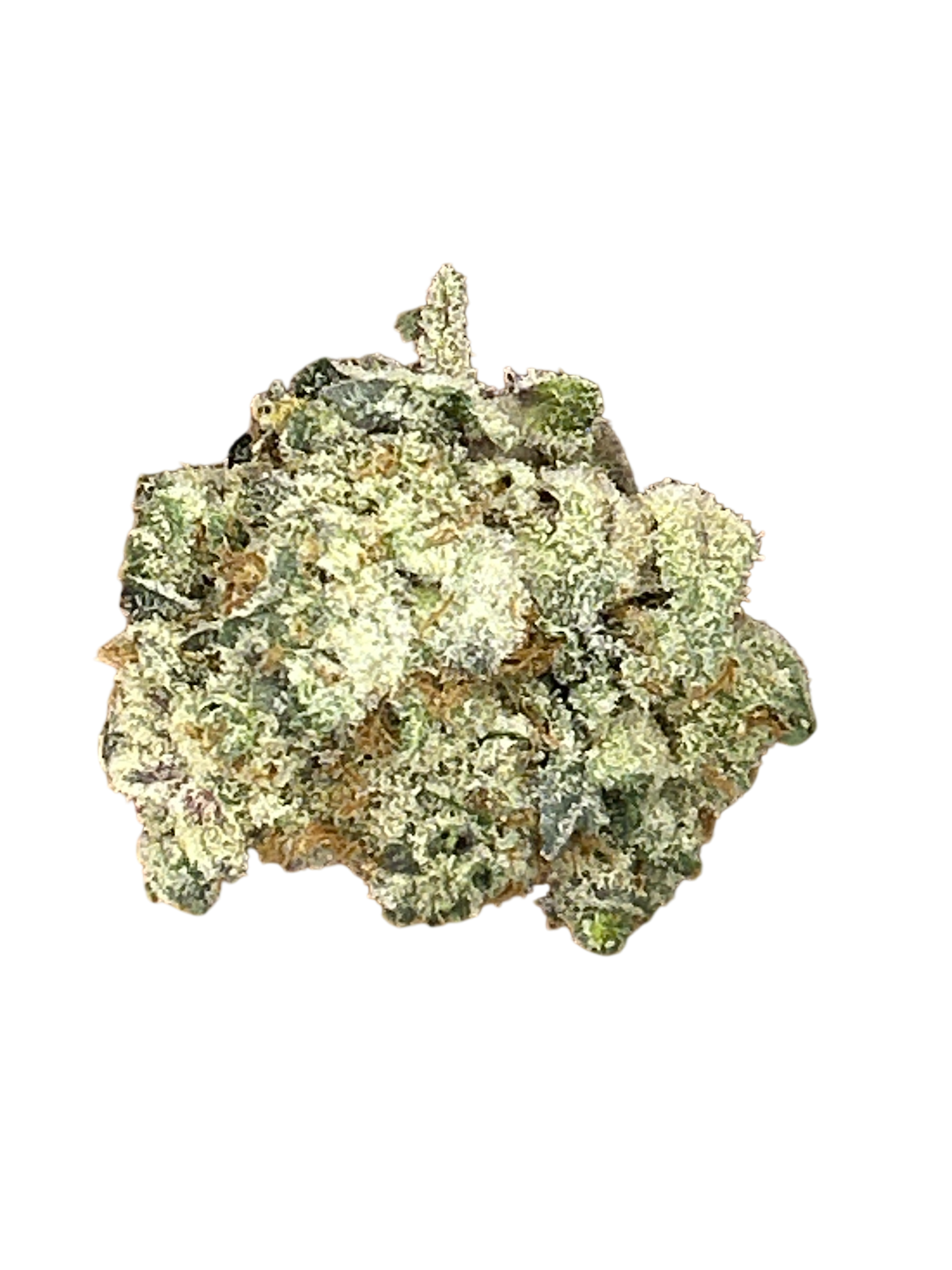 Photograph of product: Grease Monkey | 1g