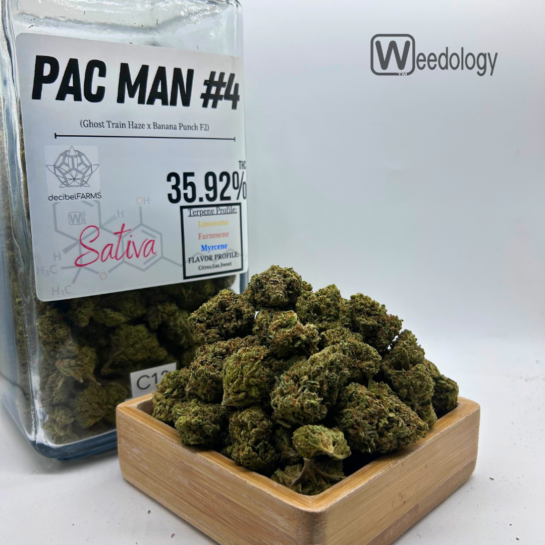 Photograph of product: Pac Man #4 (S) - 28g