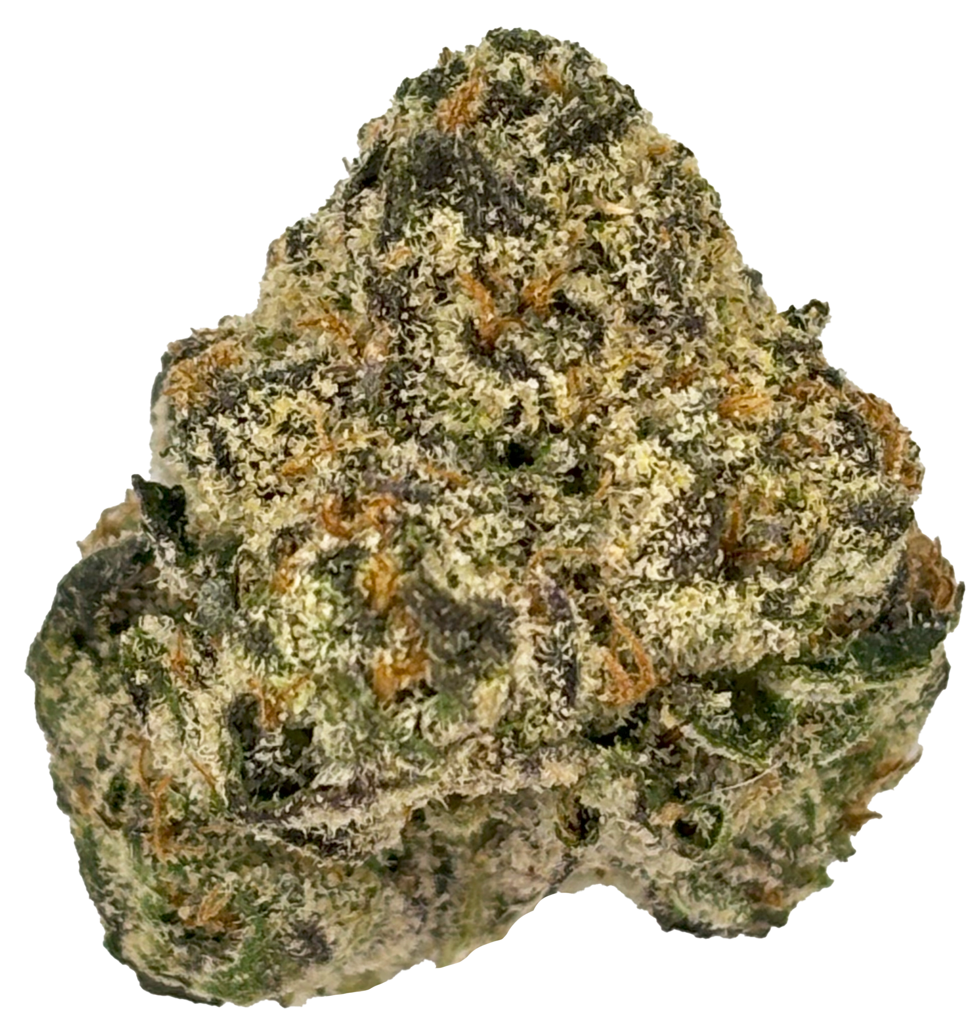 Photograph of product: Common Citizen | Gerry Peyton | Bulk Boutique Flower - 1g