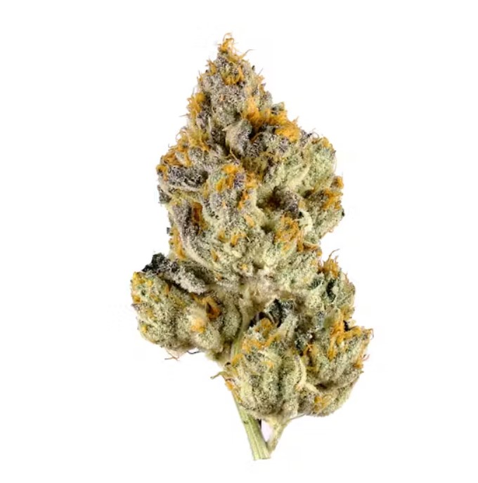 Photograph of product: Lemon Cherry Gelato buds by DR JC Exotics - 3.5g
