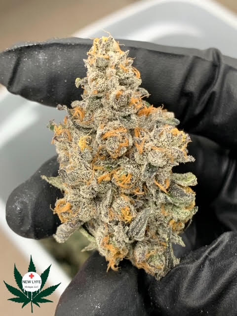 Photograph of product: Flower (Deli-Style) l Apples & Bananas | Hybrid l New Lyfe - 28g