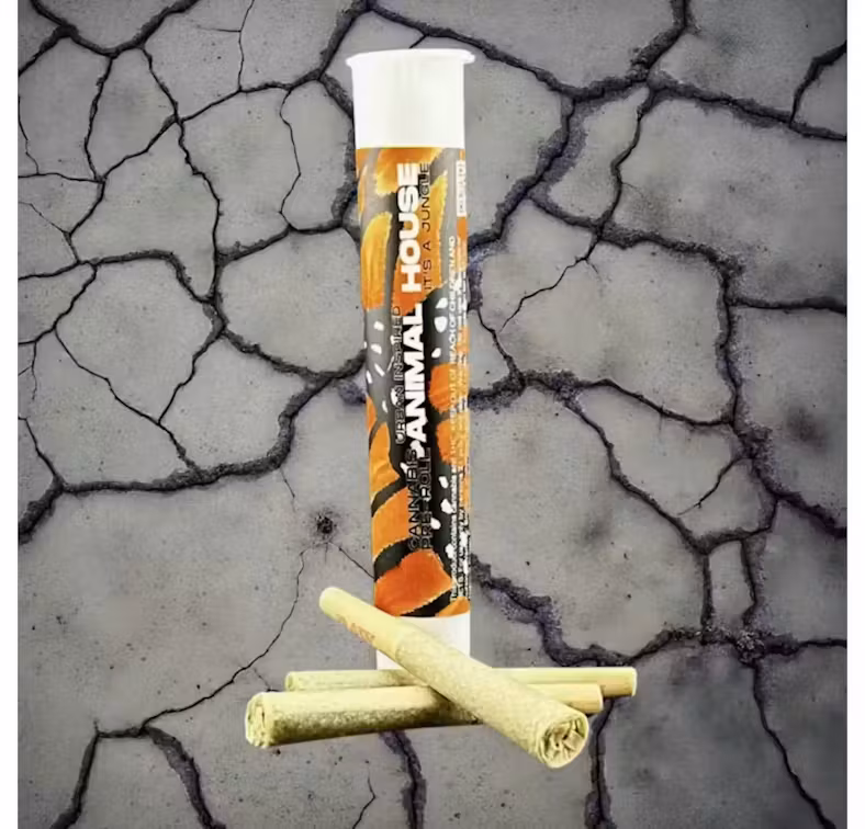 Photograph of product: Animal House | Vanilla Cream | Kief Infused Pre-Roll | .5g 7pk