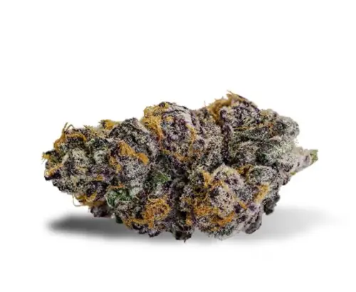 Photograph of Product: Purple Cream