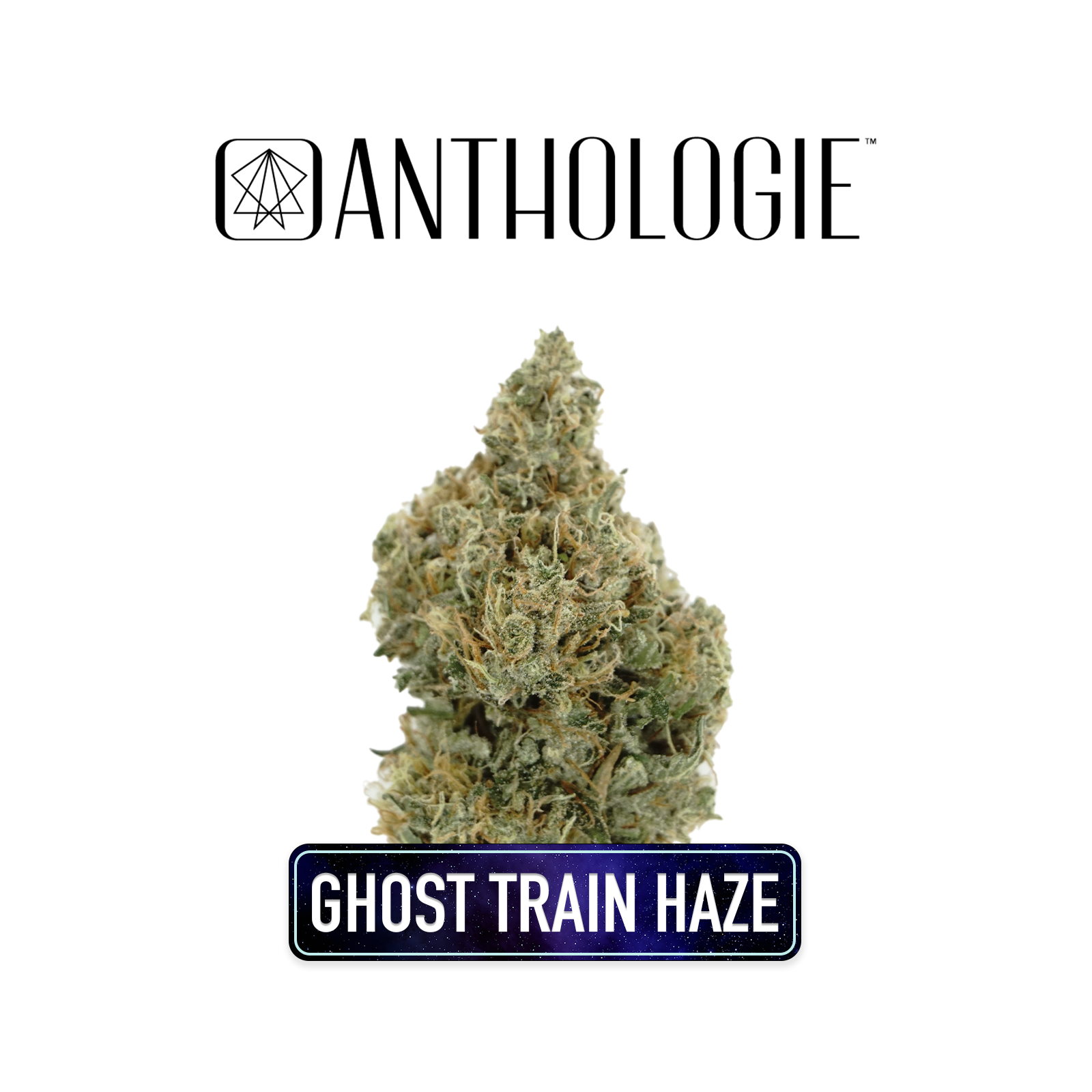 Photograph of product: Ghost Train Haze- Small Buds 7g