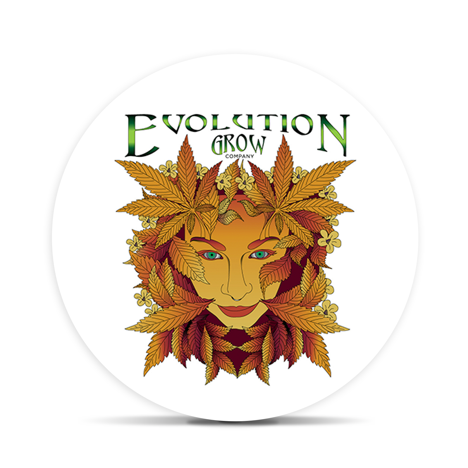 Logo for brandLogo: Evolution