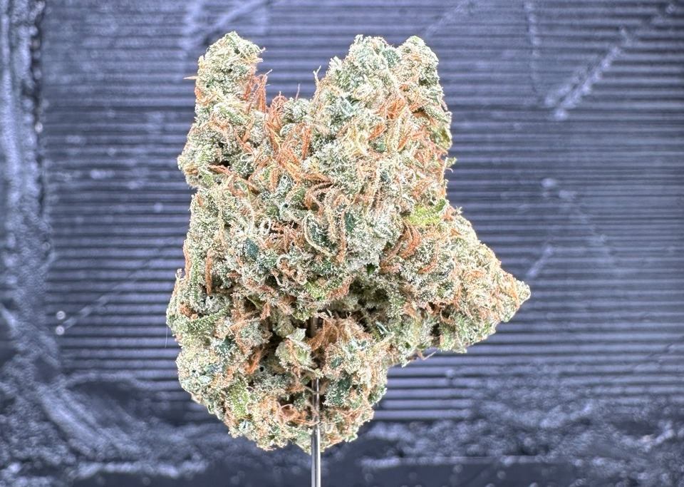 Photograph of product: Golden Pineapple - 14g