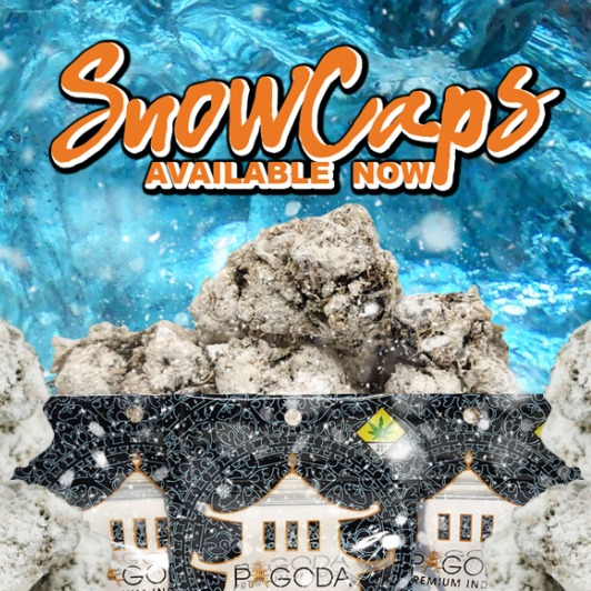 Photograph of Product: Pagoda - Purple Punch Infused SnowCap