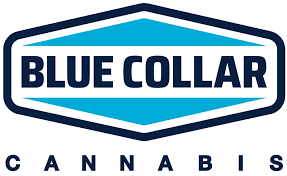 Photograph of product: Blue Collar Oui'd Beanie With Cuff