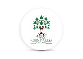 Photograph of product: Kleen Karma Hippy Chicken - 14g
