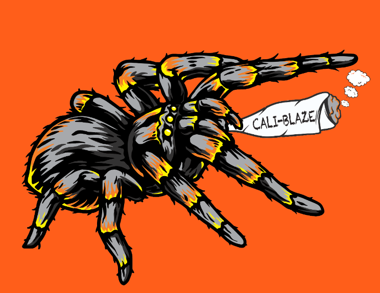 Photograph of product: Watermelon Infused Tarantula (S)