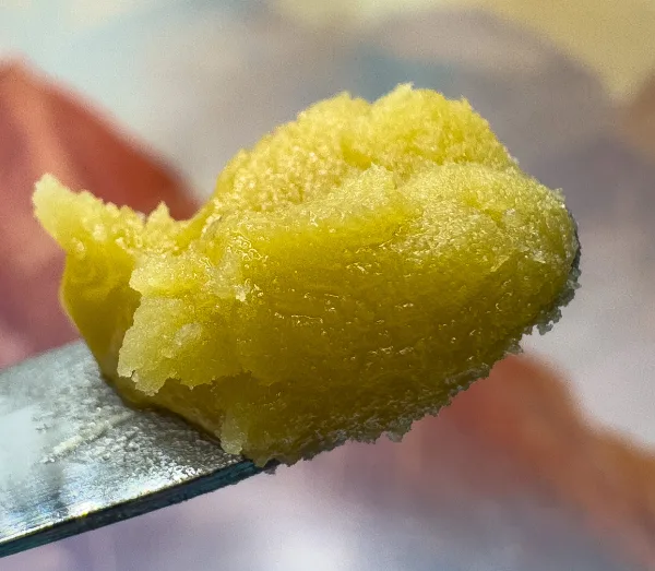 Photograph of product: Concentrate | MRHC | Dark Rainbow Live Budder