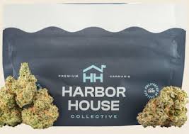 Photograph of product: Motorbreath - Hybrid [1/8oz] (Harbor House) - 3.5g