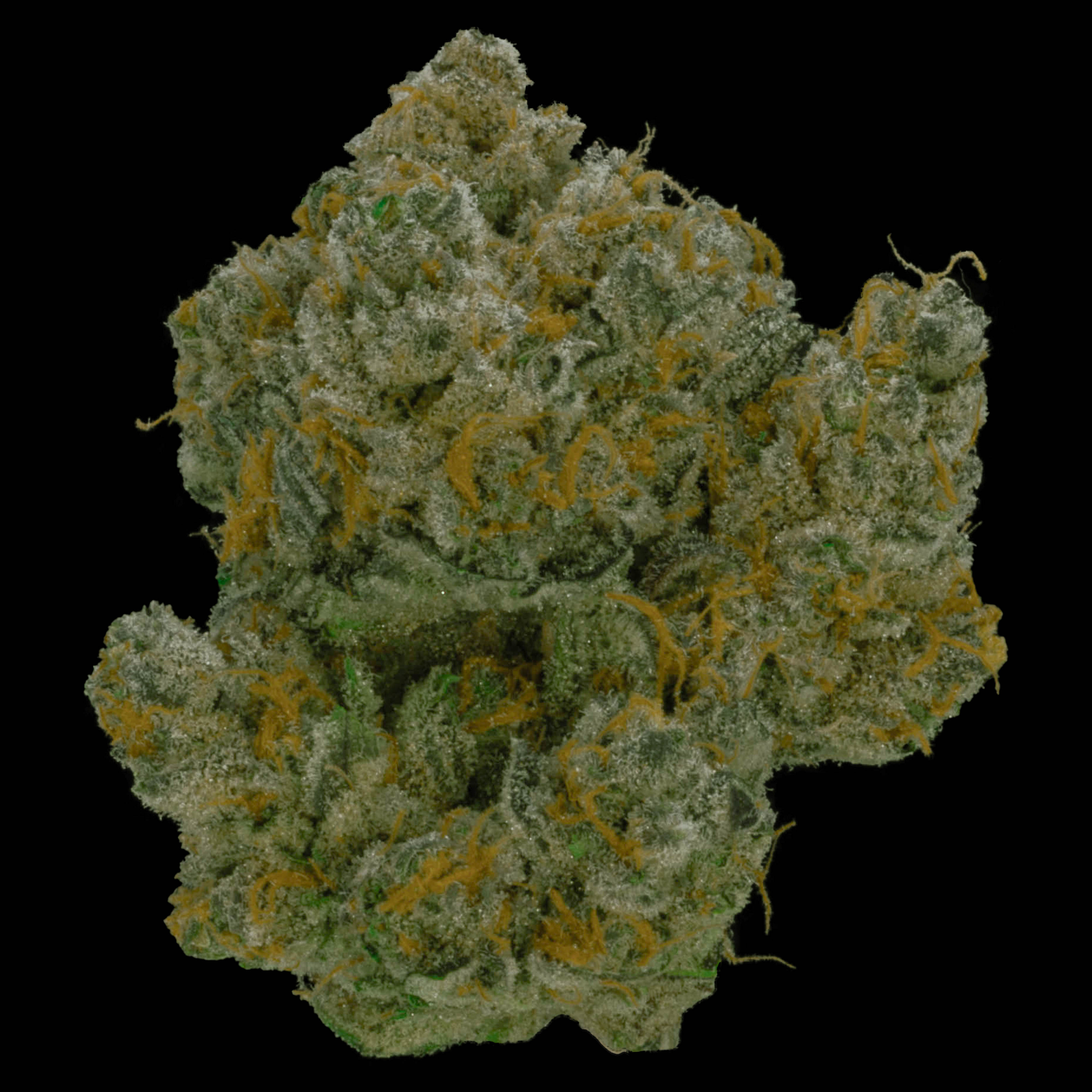 Photograph of product: Flower Zkittlez Kush - 28g