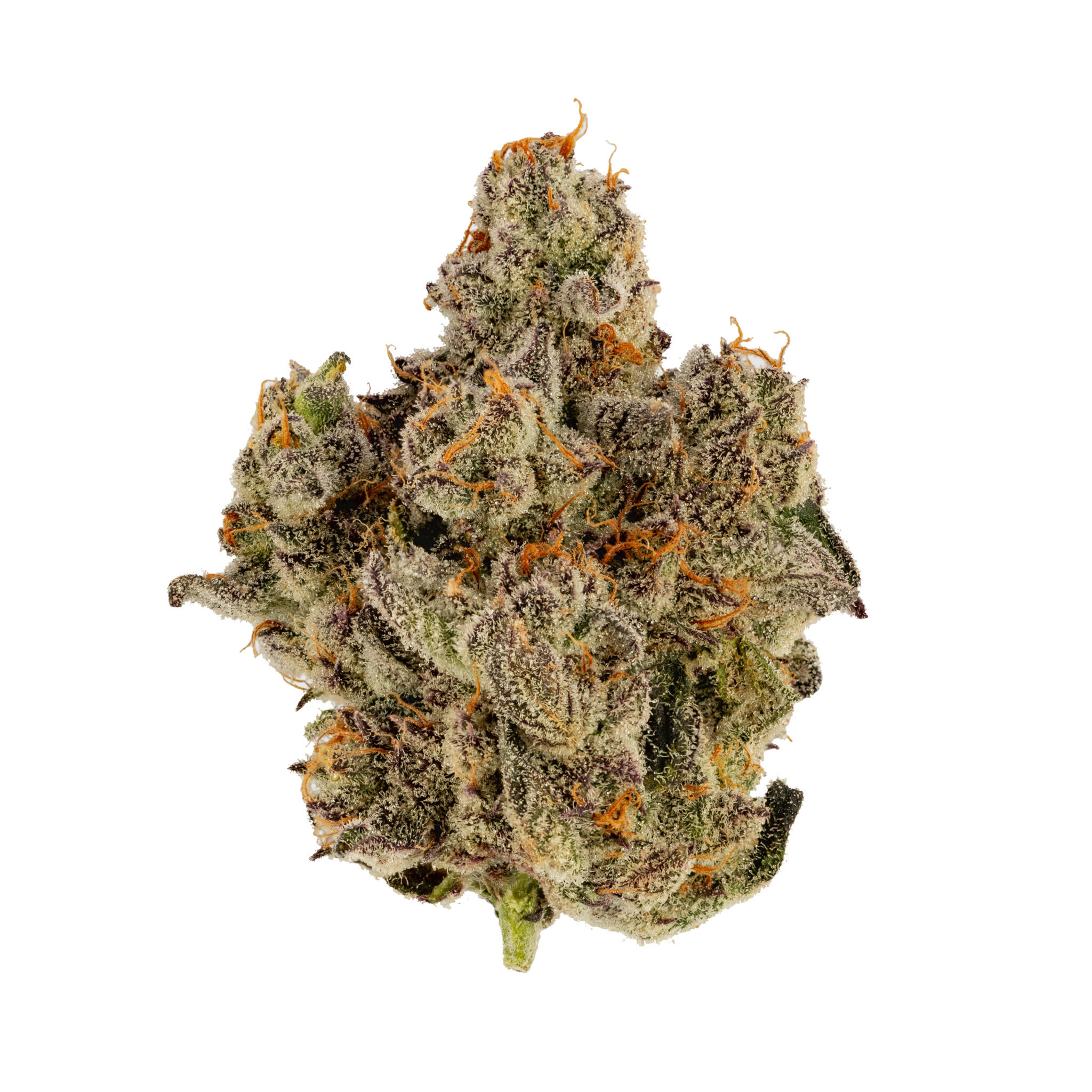 Photograph of product: Apple Fritter | 3.5g
