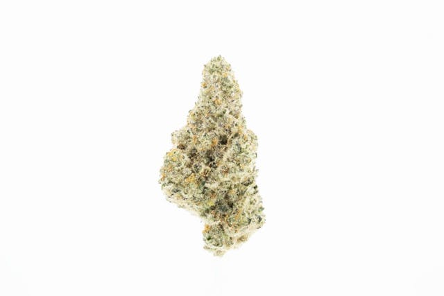 Photograph of product: Lavender Goo | 3.5g Flower