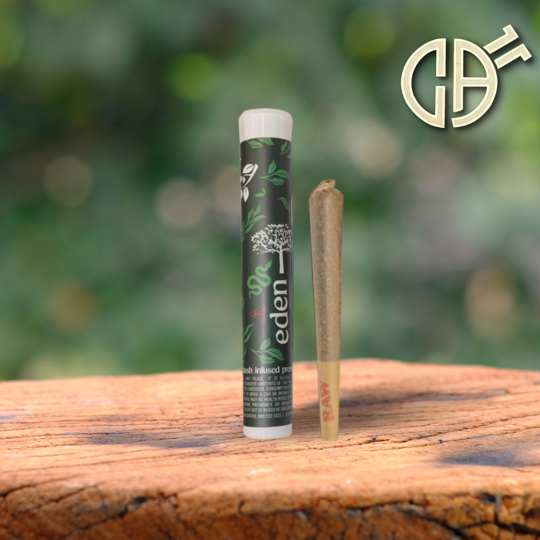 Photograph of product: Eden | au chocolat Bubble BH Infused PRJ