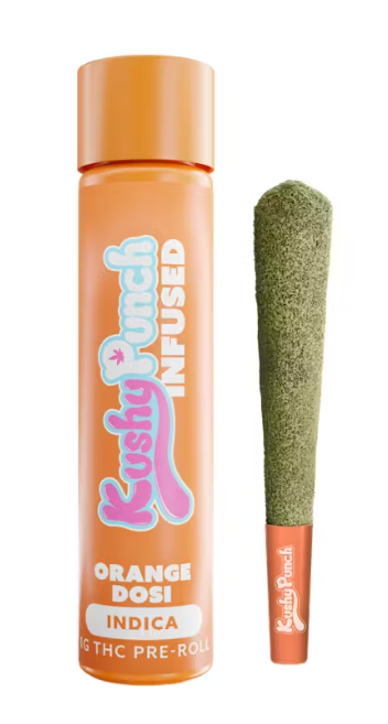 Photograph of product: 1g Infused Preroll | Orange Dosi