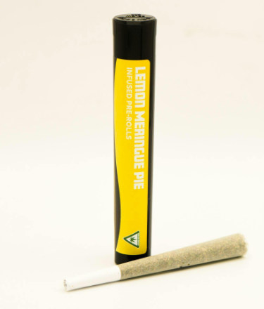 Photograph of product: Distro 10 - Lemon Meringue Pie - 1.2g Infused Preroll