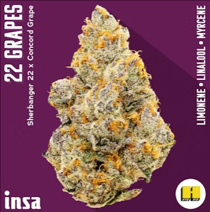 Photograph of product: 22 Grapes - 3.5g