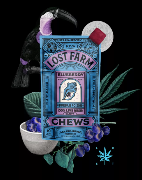 Photograph of product: Blueberry Chews 10pk ( S ) 100mg