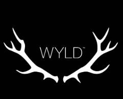 Photograph of product: 1:1 Passion Orange Gummy | Single Dose 100mg