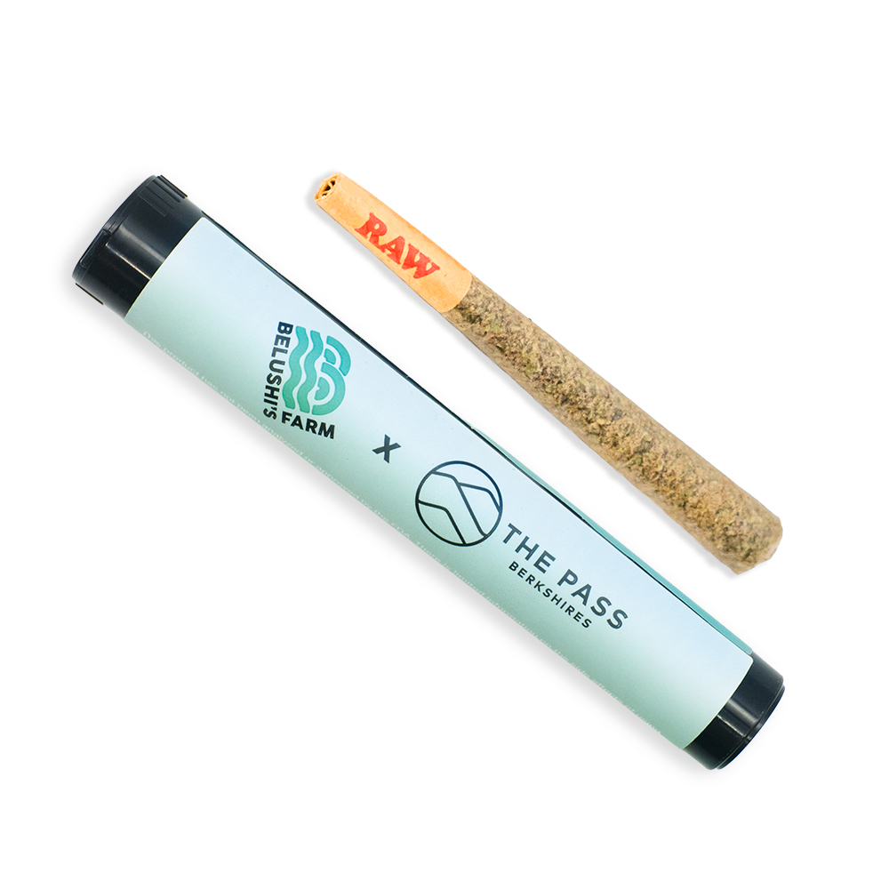 Photograph of product: GovernMint Oasis Pre-Roll
