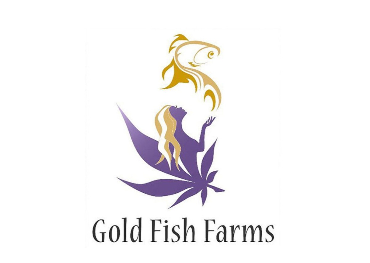 Photograph of product: Gold Fish Farms - Orange 76 Live Rosin - 1g