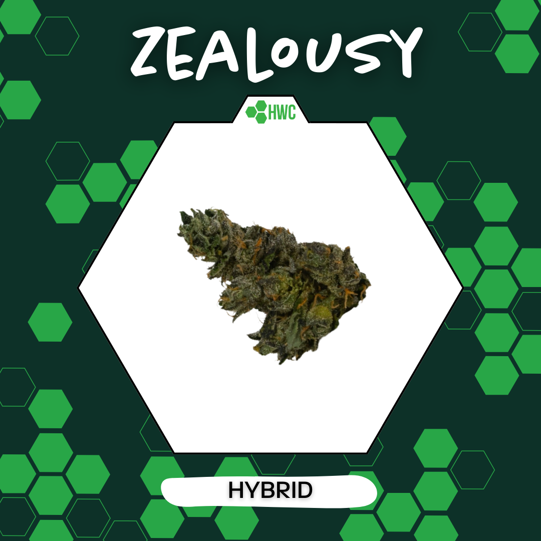 Photograph of product: Herbal Wellness Center - Zealousy (H) - 2.83g