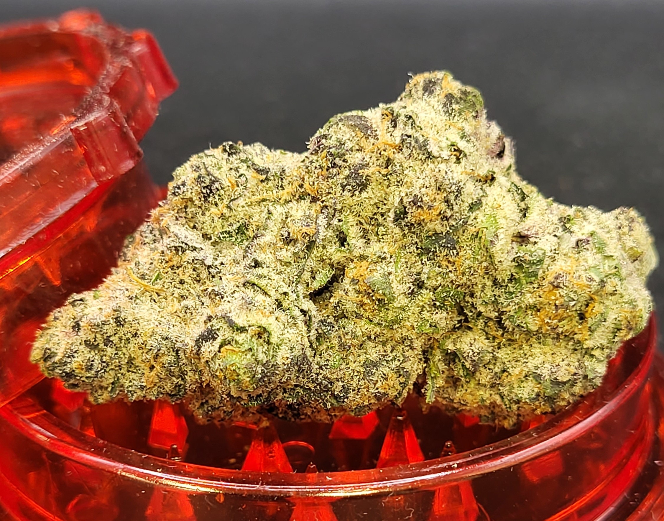 Photograph of product: Top Shelf Shelf - Blueberry Rose (H) - 28g