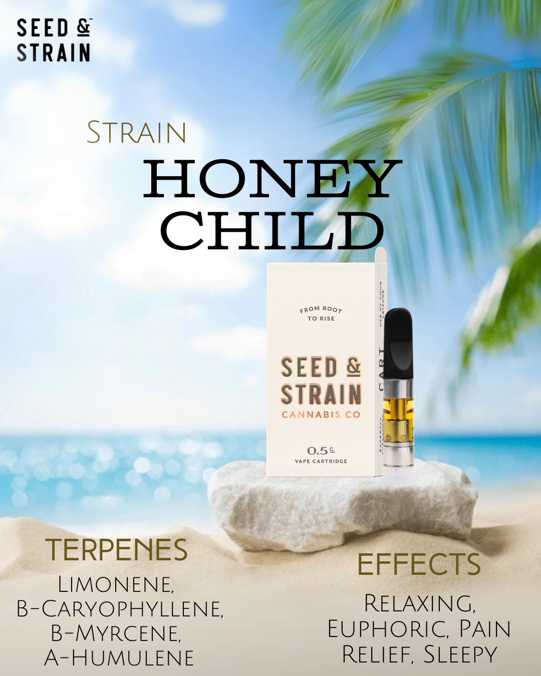 Photograph of product: Ss Vaporizer - CO2 Honey Child