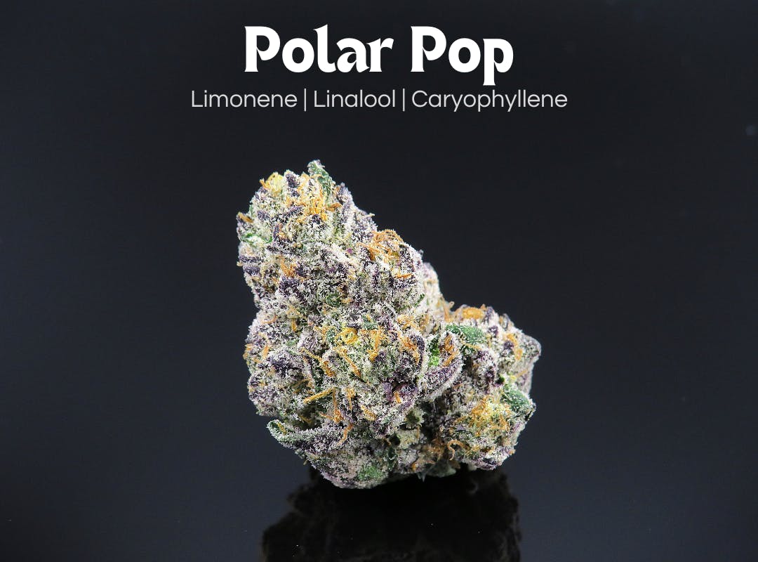 Photograph of product: Polar Pop - 
