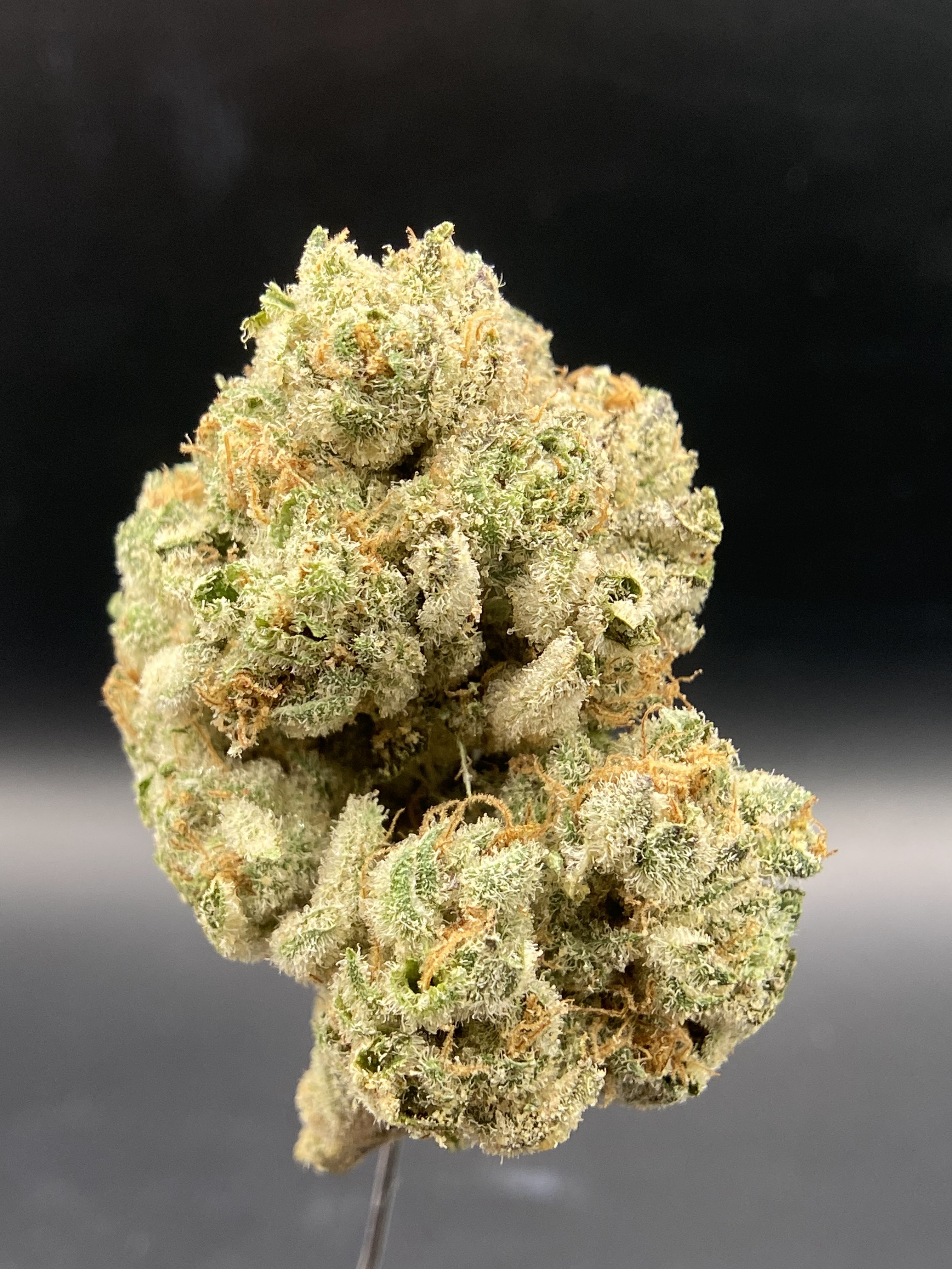 Photograph of product: High Tech Farms | NF Sheesh - 28g