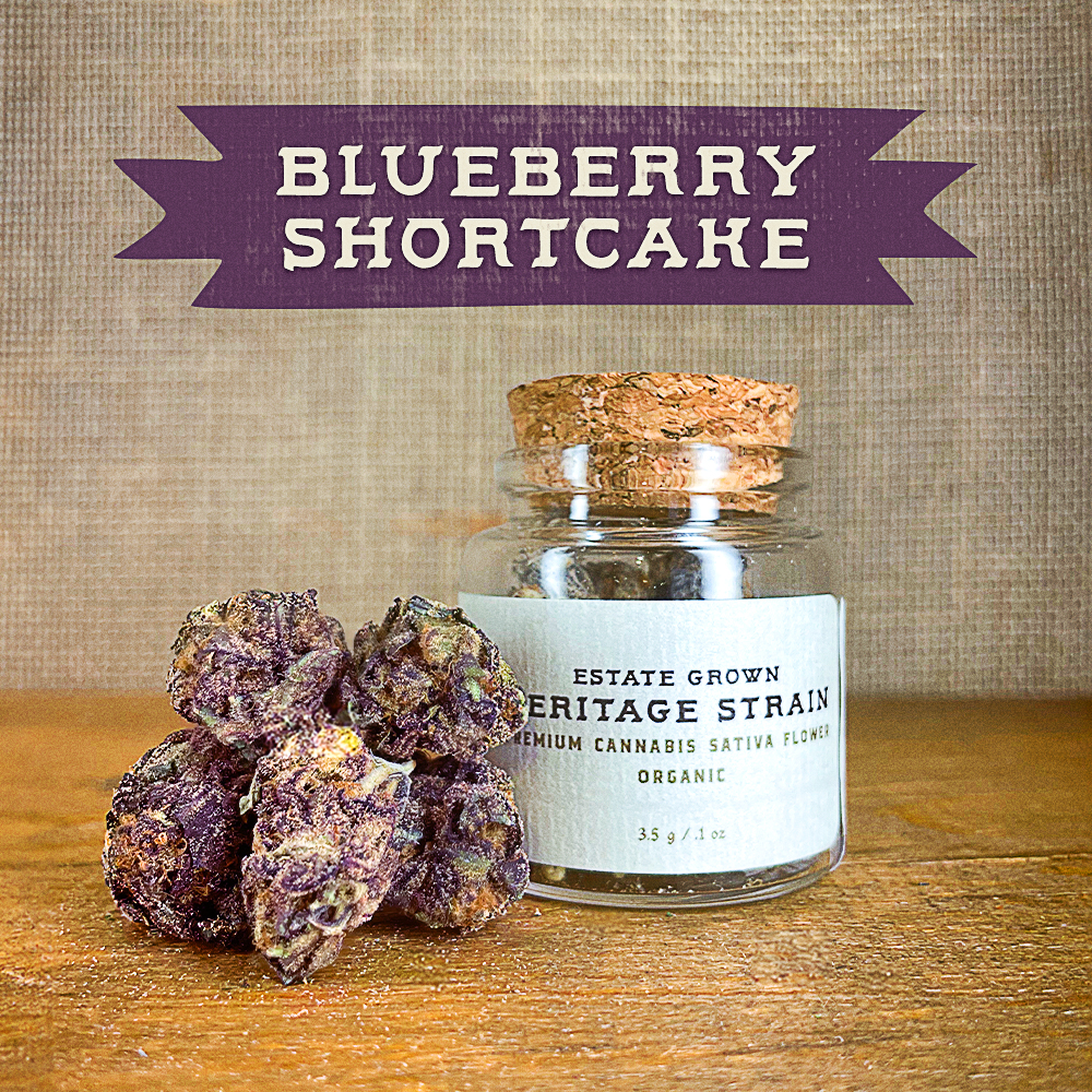 Photograph of product: Blueberry Shortcake | Flower