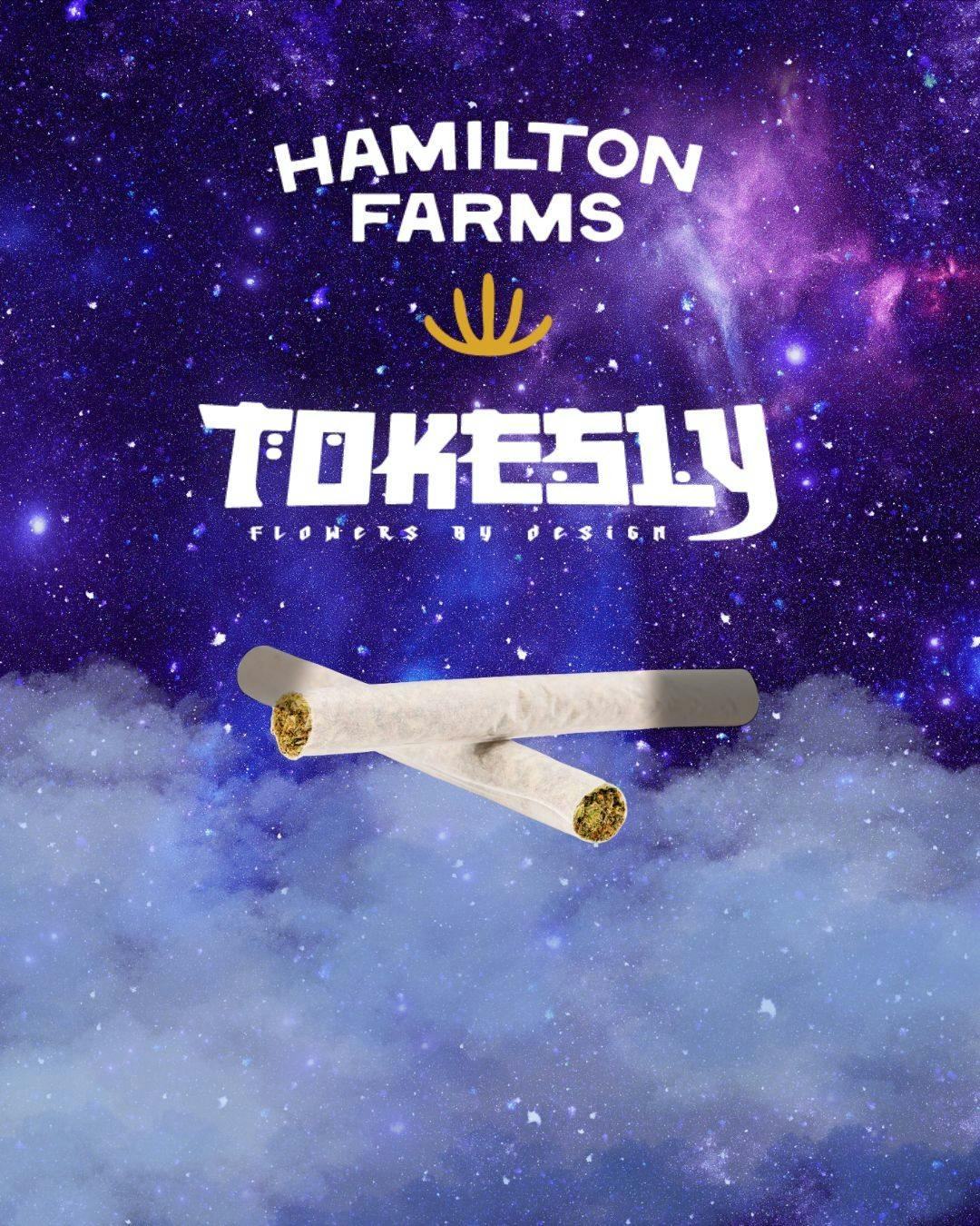 Photograph of product: Hamilton Farms x Tokesly - Strawberry Milano - Pre-Roll - 1g